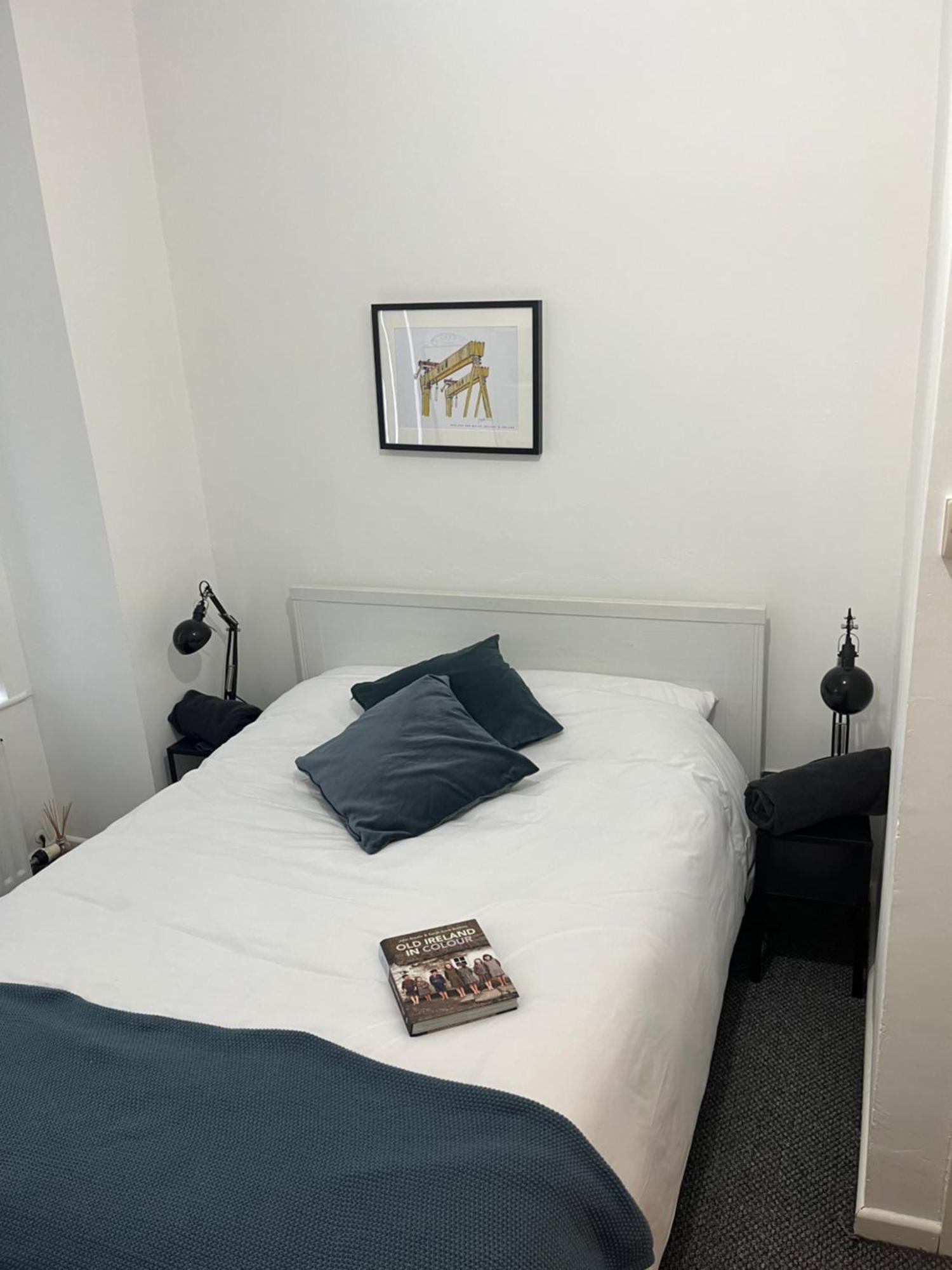 Loganberry Apartment 贝尔法斯特 外观 照片