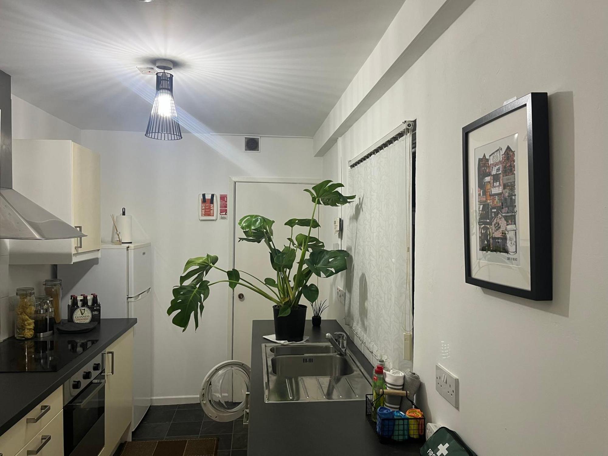 Loganberry Apartment 贝尔法斯特 外观 照片